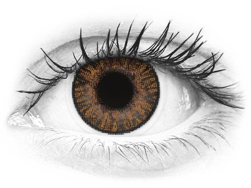 Brown Honey Freshlook Colorblends Lenses 2 Lenses Alensa Uk