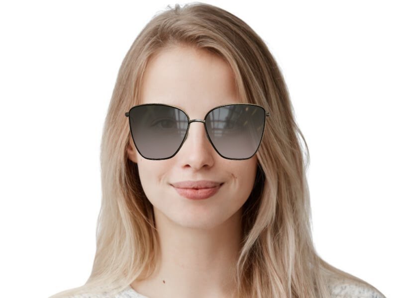 ディオール サングラス DDB86 Christian Dior Society1 Sunglasses